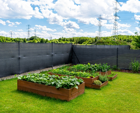 Image illustrant : Terrassements des abords