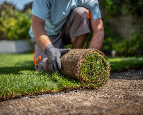 Image illustrant : Entretien de parcs et jardins