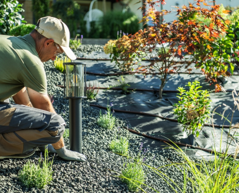 Image illustrant : Plantation de gros sujets